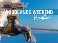 Woodlands Weekend Weather & Events – January 12 - 14, 2024 – Enjoy it while you can