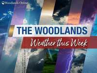 Woodlands Weather This Week – January 15 - 19, 2024 – You will NOT believe how this week ends…