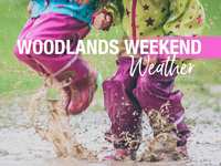 Woodlands Weekend Weather & Events – February 9 - 11, 2024 – Whatever you do, don’t wash your car
