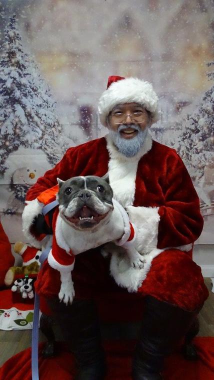 Doggie wishes come true at Woodlands Eco Realty’s ‘Santa Paws’ event