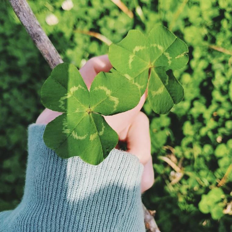 History Behind the Four-Leaf Clover; Why are they considered lucky