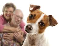 Pet Therapy for Seniors