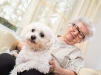 The Best Types of Dogs for Seniors in Assisted Living