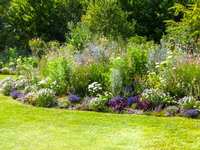 Planning on Planting? Woodlands Water has 5 reasons to go native in your landscape