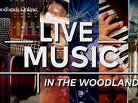 Live Music in The Woodlands – August 15 - 18, 2024