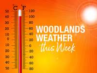 Woodlands Weather This Week – June 4 - 7, 2024 – Suddenly summer is standing beside me…
