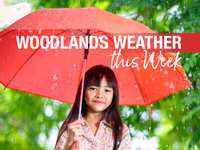 Woodlands Weather This Week – August 26 - 30, 2024 – Back to the 80s