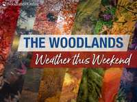 Woodlands Weekend Weather and Events – August 31 - September 2, 2024 – Labor Grey Weekend