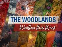 Woodlands Weather This Week – September 3 - 6, 2024 – Dribs and drabs