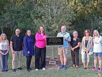 GMVA board plants tree in honor of The Woodlands' 50th