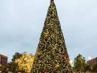 Join in the Holiday Fun in The Woodlands – Texas Monthly