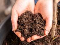 Backyard Composting Class