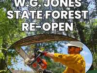 W.G. Jones State Forest is now re-opened for public use