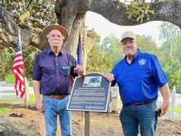 McDade Magnolia Tree Recognized as Historic